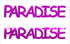 Custom-Buzz Word - PARADISE Fuchsia