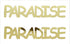 Custom-Buzz Word - PARADISE Gold