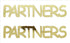 Custom-Buzz Word - PARTNERS Gold