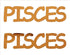 Custom-Buzz Word - PISCES Orange