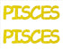 Custom-Buzz Word - PISCES Yellow Paper