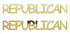 Custom-Buzz Word - REPUBLICAN Gold