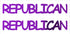 Custom-Buzz Word - REPUBLICAN Purple