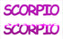 Custom-Buzz Word - SCORPIO Fuchsia