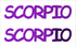 Custom-Buzz Word - SCORPIO Purple