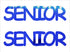 Custom-Buzz Word - SENIOR Blue Royal