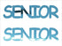 Custom-Buzz Word - SENIOR Blue Sky