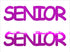 Custom-Buzz Word - SENIOR Fuchsia