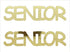 Custom-Buzz Word - SENIOR Gold