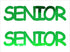 Custom-Buzz Word - SENIOR Green