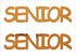 Custom-Buzz Word - SENIOR Orange