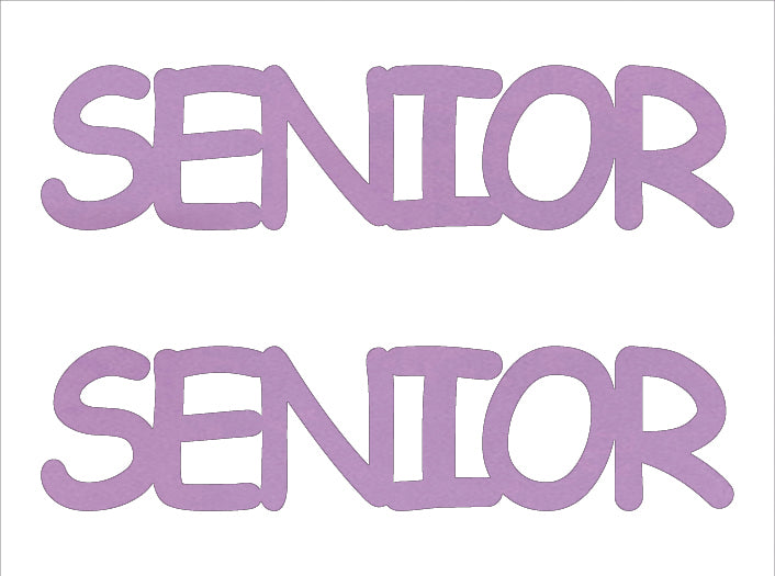 Custom-Buzz Word - SENIOR Pink