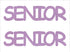 Custom-Buzz Word - SENIOR Pink