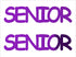 Custom-Buzz Word - SENIOR Purple