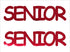 Custom-Buzz Word - SENIOR Red