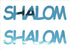 Custom-Buzz Word - SHALOM Blue Sky