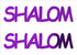 Custom-Buzz Word - SHALOM Purple