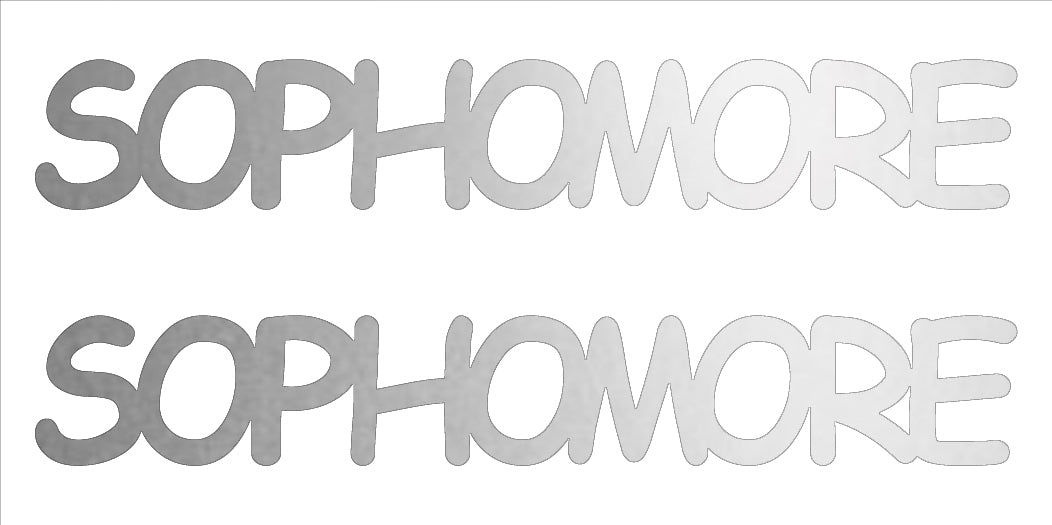 Custom-Buzz Word - SOPHOMORE Silver