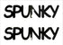 Custom-Buzz Word - SPUNKY Black