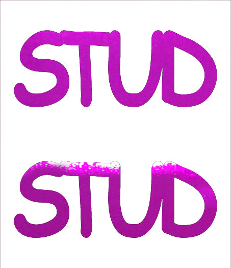 Custom-Buzz Word - STUD Fuchsia