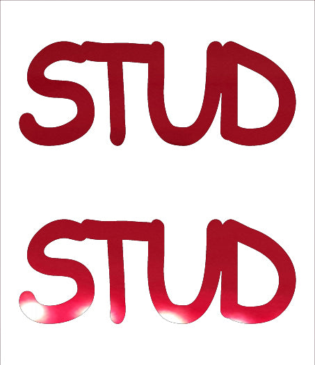 Custom-Buzz Word - STUD Red