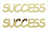 Custom-Buzz Word - SUCCESS Gold