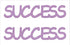 Custom-Buzz Word - SUCCESS Pink