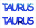 Custom-Buzz Word - TAURUS Blue Royal