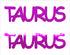 Custom-Buzz Word - TAURUS Fuchsia