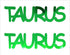 Custom-Buzz Word - TAURUS Green