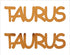 Custom-Buzz Word - TAURUS Orange