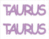 Custom-Buzz Word - TAURUS Pink