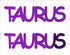 Custom-Buzz Word - TAURUS Purple