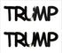 Custom-Buzz Word - TRUMP Black