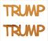 Custom-Buzz Word - TRUMP Orange