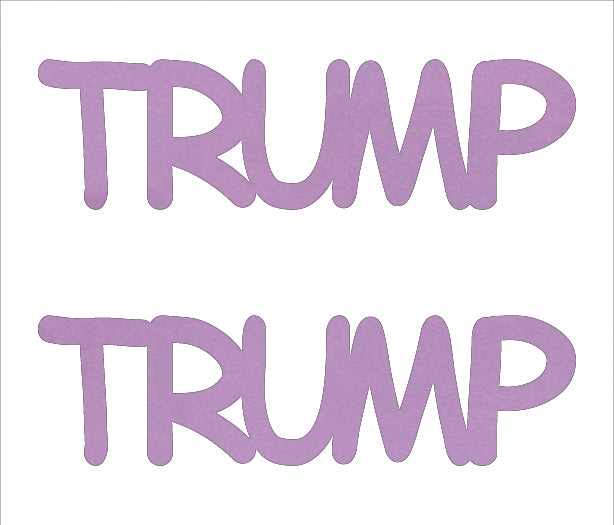 Custom-Buzz Word - TRUMP Pink