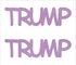 Custom-Buzz Word - TRUMP Pink