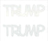 Custom-Buzz Word - TRUMP White