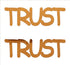 Custom-Buzz Word - TRUST Orange