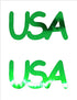 Custom-Buzz Word - USA Green