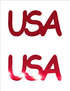 Custom-Buzz Word - USA Red