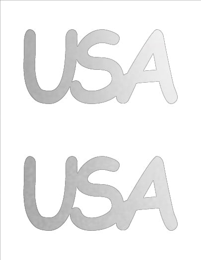 Custom-Buzz Word - USA Silver