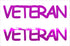 Custom-Buzz Word - VETERAN Fuchsia