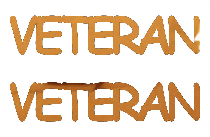 Custom-Buzz Word - VETERAN Orange