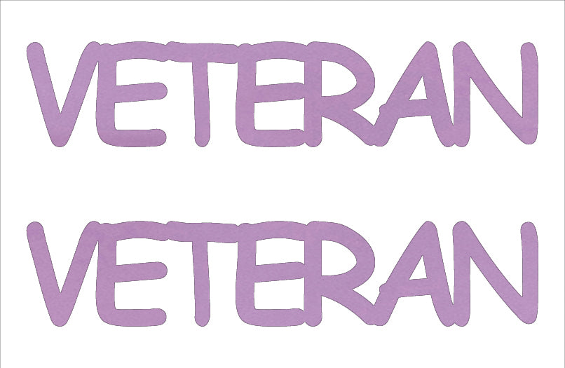 Custom-Buzz Word - VETERAN Pink