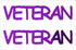 Custom-Buzz Word - VETERAN Purple