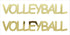 Custom-Buzz Word - VOLLYBALL Gold