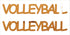 Custom-Buzz Word - VOLLYBALL Orange