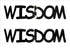 Custom-Buzz Word - WISDOM Black