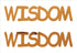 Custom-Buzz Word - WISDOM Orange